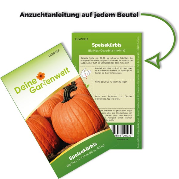 Samenbeutel für Speisekürbis Big Max von Deine Gartenwelt mit Anzuchtanleitung auf der Rückseite.