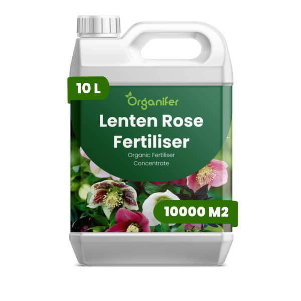 Organifer Lenzrosen-Dünger, organisches Düngerkonzentrat, 10 Liter für 10000 Quadratmeter.