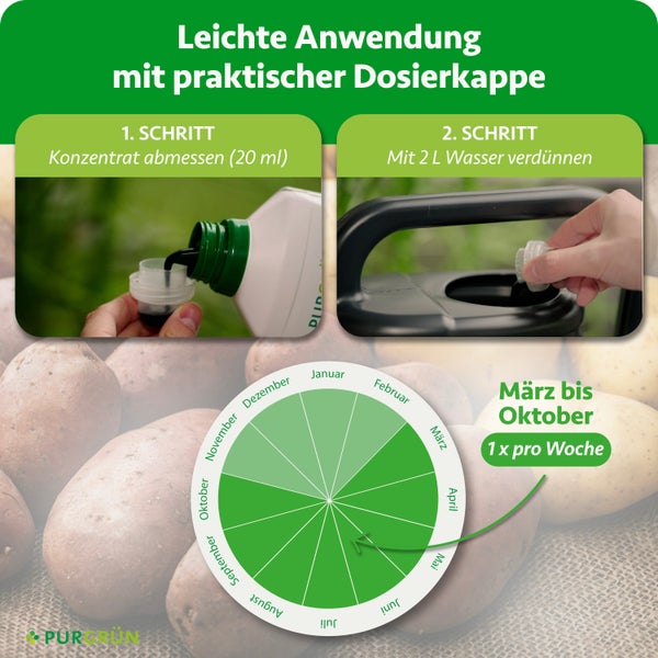Anwendung Flüssigdünger: 20 Milliliter abmessen, mit 2 Liter Wasser verdünnen. Zeitraum März bis Oktober einmal wöchentlich. Purgrün Logo.