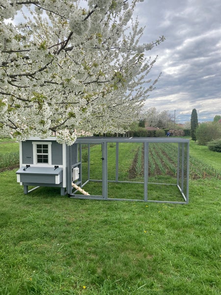 Hühnerauslauf Mitte EZ Chicken Home Grau 5,84m² 208 x 300 x 154 cm hergestellt in EU