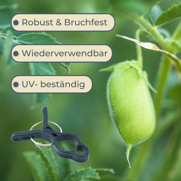 Pflanzenklemme mit den Eigenschaften: robust und bruchfest, wiederverwendbar und UV beständig