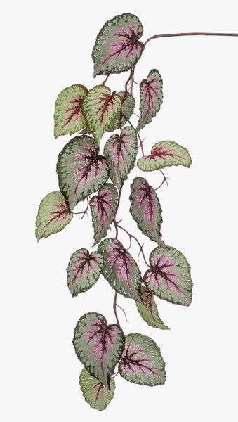 Künstliche Hängepflanze Begonie mit grün und rosa gemusterten Blättern.