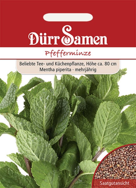 Dürr Samen Logo. Samentüte Pfefferminze, Mentha piperita, mehrjährige Tee- und Küchenpflanze, Wuchshöhe circa 80 cm, mit Saatgutansicht.