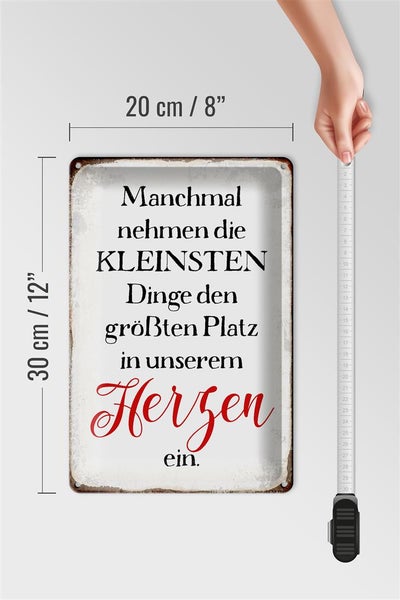 Blechschild Spruch 20x30cm die kleinsten Dinge größte Platz