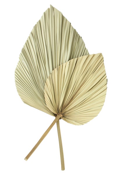 FRANK FLECHTWAREN | Dekoblatt Palme, 2er Set, NATURMATERIALIEN, 15-20 x 50-60 cm, 30-40 x 60-70 cm
