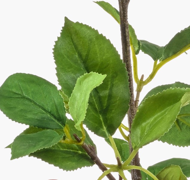 Künstliche Banksia mit gelber zylindrischer Blüte und gezackten grünen Blättern.