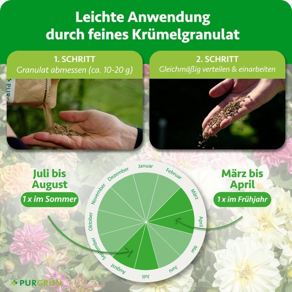 Purgrün Bio Dahliendünger 1 Kilogramm, veganer Granulatdünger mit Kalium für circa 40 Dahlien, Made in Germany Logo.