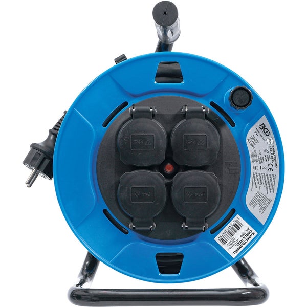 Gruppe von Fingerhutblumen im Garten