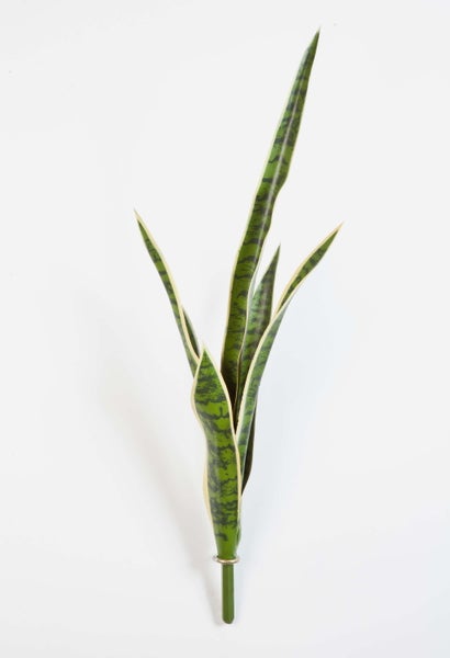 Künstlicher Bogenhanf Zweig Sansevieria mit grün-gelben gemusterten Blättern.