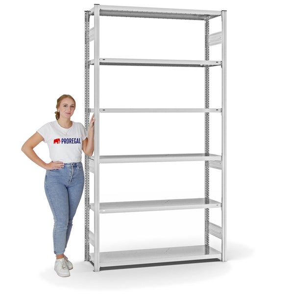 PROREGAL Fachbodenregal Stecksystem T-Profil Medium-Duty Grundregal HxBxT 250 x 130 x 40 cm 6 Ebenen Fachlast 215 kg Beidseitig Nutzbar Lichtgrau