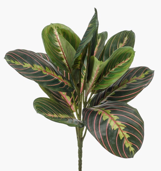 Künstliche Maranta Pflanze mit dunkelgrünen Blättern und roten Blattadern.