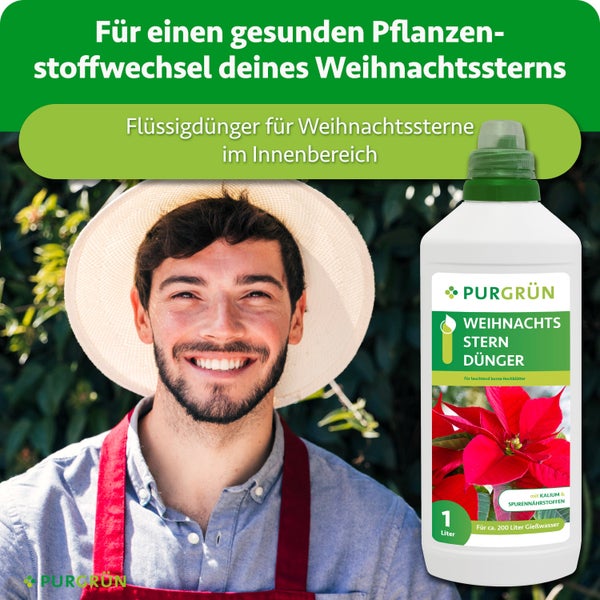 Purgrün Flüssigdünger für Weihnachtssterne in der 1 Liter Flasche für gesunden Pflanzenstoffwechsel und leuchtende Hochblätter.