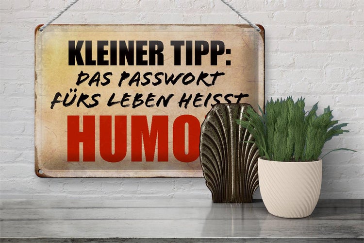 Blechschild Spruch 30x20cm kleiner Tipp das Passwort Humor