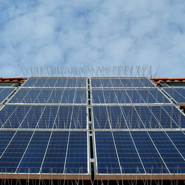 NIEDERBERG METALL Taubenabwehr Spikes - 9 Meter Kunststoff Tauben Abwehrleiste mit 180 Vogel Abwehr Spikes - Taubenabwehr Balkon Vogelabwehr für Dachbalken - Vogelschutz Dach Solaranlage Photovoltaik