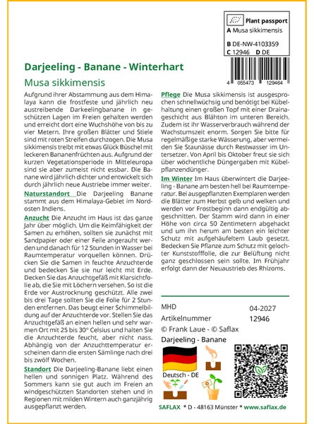 SAFLAX Garden to go - Darjeeling - Banane - Musa sikkimensis - 5 Samen - Mit Topf, Klima - Deckel und Anzuchtsubstrat