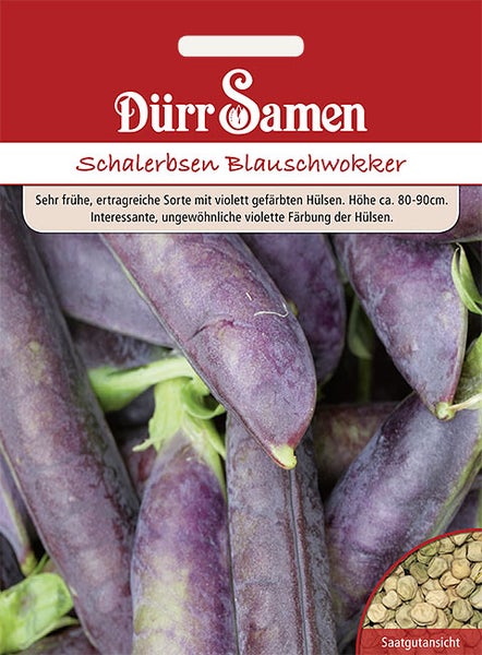 Dürr Samen Logo. Saatgutpackung Schalerbsen Blauschwokker mit violetten Hülsen. Höhe circa 80 bis 90 Zentimeter.