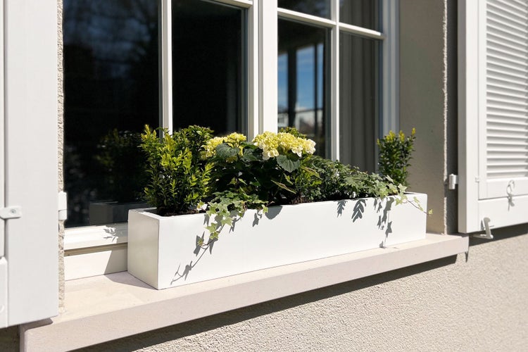 Rechteckiger weißer Blumenkasten auf einer Fensterbank mit grünen Pflanzen, weißen Blüten und Efeu, hell und ordentlich gestaltet.