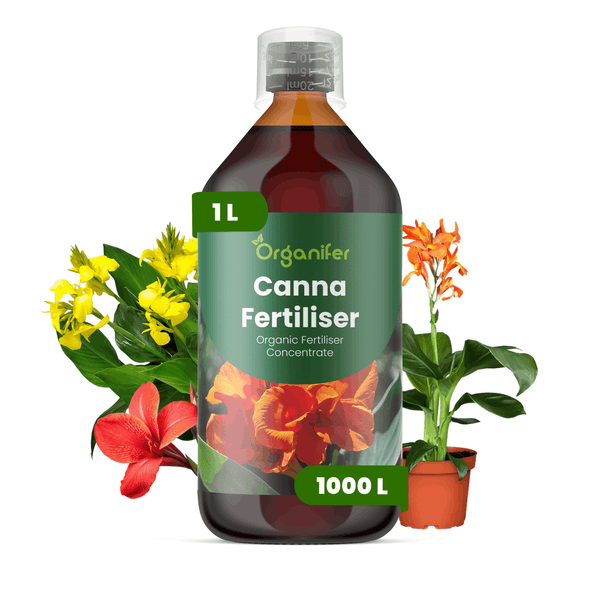 Flasche Organifer Canna Dünger, organisches Düngerkonzentrat für Canna-Pflanzen, 1 Liter.