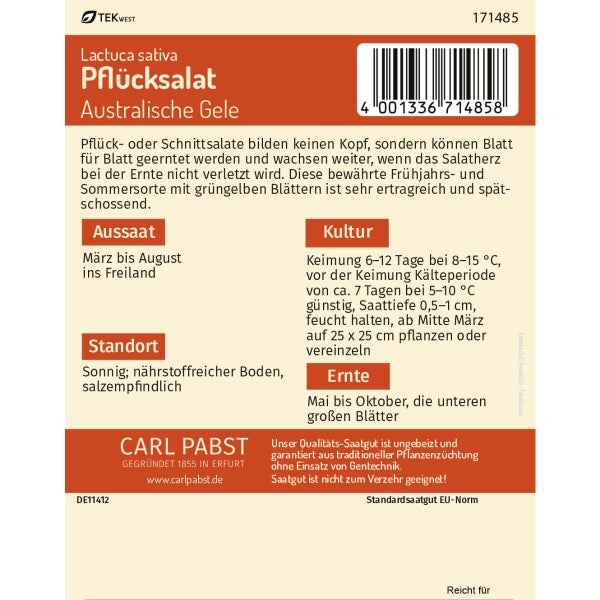 Pflücksalat spätschossend & ertragreich Australische Gele Samen von Pabst Keimkraft
