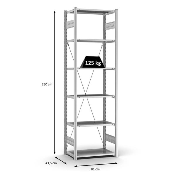 PROREGAL Profi Lagerregal Stecksystem T-Profil Grundregal HxBxT 250 x 75 x 40 cm Fachlast 125 kg Verzinkt