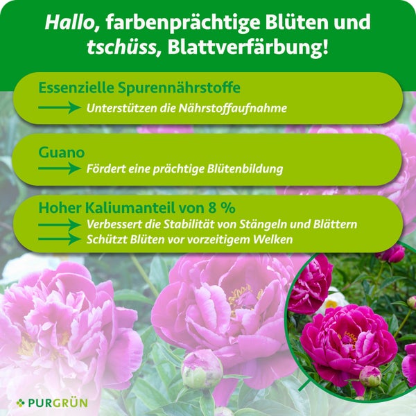 Infografik zu Pflanzendünger mit Guano, Spurennährstoffen und 8 Prozent Kalium für Blütenbildung, Stabilität und gegen Welken. Purgrün Logo.