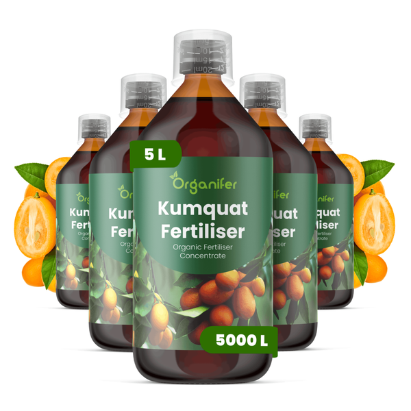 Fünf Flaschen Organifer Kumquat Dünger als organisches Düngerkonzentrat zur Nährstoffversorgung von Kumquatbäumen.