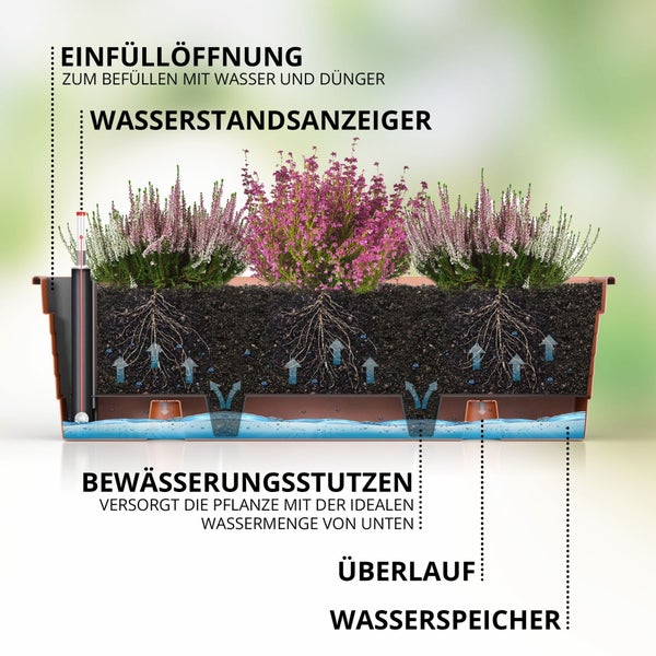Querschnitt eines Blumenkastens mit Selbstbewässerungssystem, Wasserspeicher, Wasserstandsanzeiger, Überlauf und Einfüllöffnung.