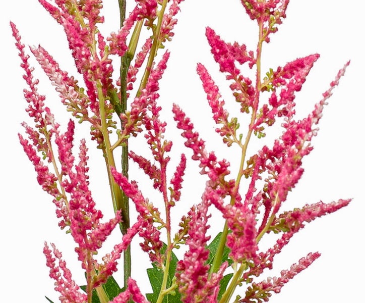 Künstlicher Astilben-Zweig mit rosa Blüten und gezackten grünen Blättern.