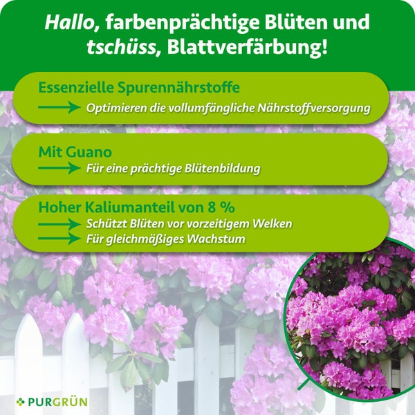 Infografik zum Purgrün Rhododendrondünger mit Spurennährstoffen und Guano für blühfreudige Pflanzen mit kräftigem Blattwachstum.