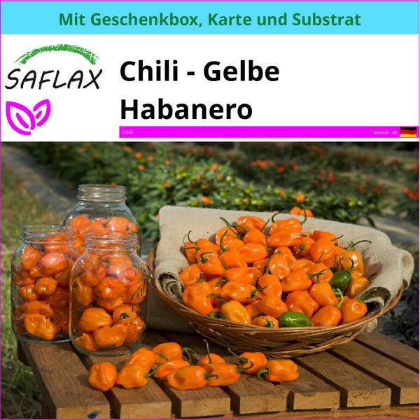 SAFLAX Geschenk Set - Chili - Gelbe Habanero - Capsicum chinense - 10 Samen - Mit Geschenkbox, Versandaufkleber, Geschenkkarte und Anzuchtsubstrat