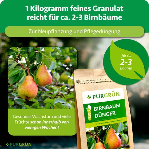 Purgrün Birnbaumdünger, 1 Kilogramm Granulat für circa 2 bis 3 Bäume, Neupflanzung und Pflegedüngung, Bio-Siegel, Birnen am Baum, Purgrün Logo.