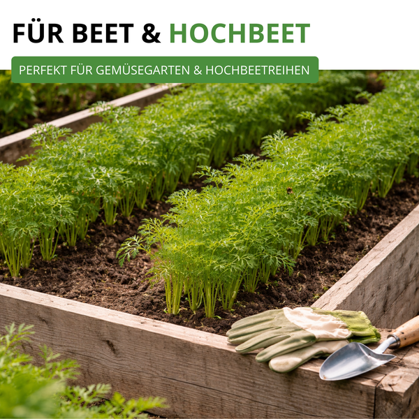 Holz-Hochbeet mit Reihen junger Grünpflanzen, Gartenhandschuhen und einer Pflanzschaufel auf dem Rand.