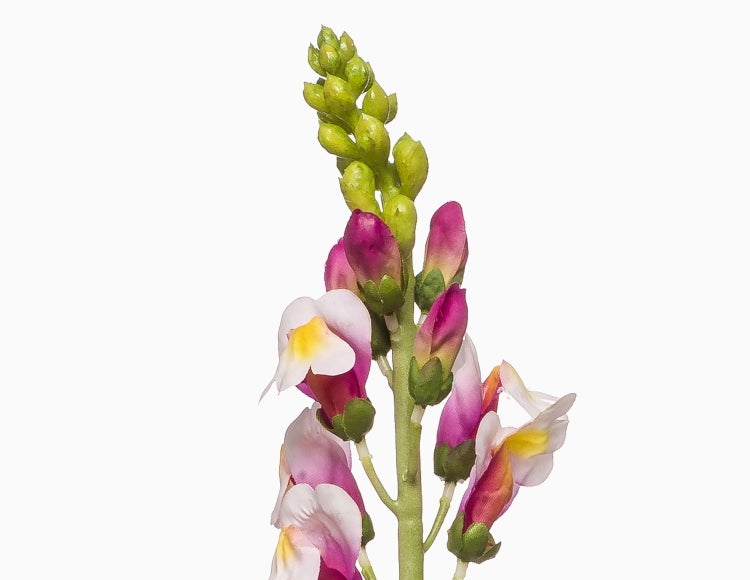 Kunstblume Löwenmäulchen LIMORG, Creme-pink, 80cm - Künstliche Blume