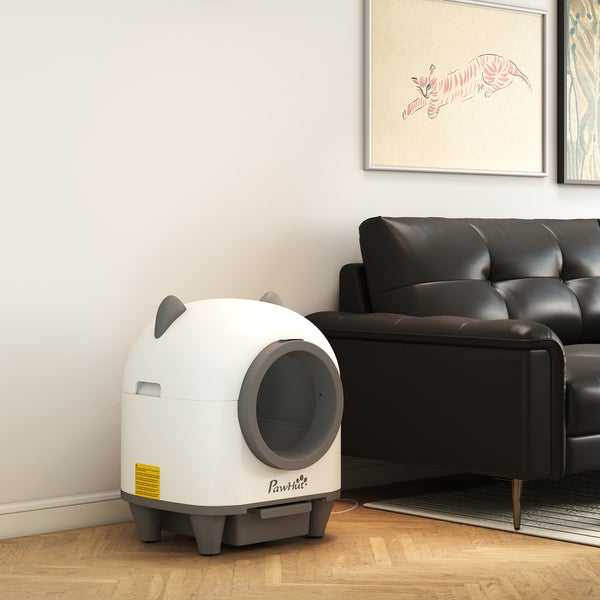 Katzentoilette im Wohnzimmer neben einem schwarzen Sofa und Bildern an der Wand