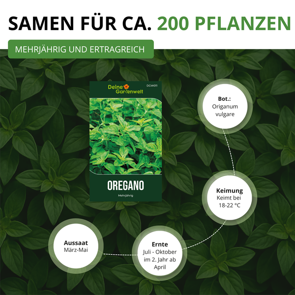 Oregano-Samen von Deine Gartenwelt für circa 200 Pflanzen, mehrjährig. Informationen zu Aussaat März bis Mai, Ernte Juli bis Oktober, Keimung bei 18 bis 22 Grad.