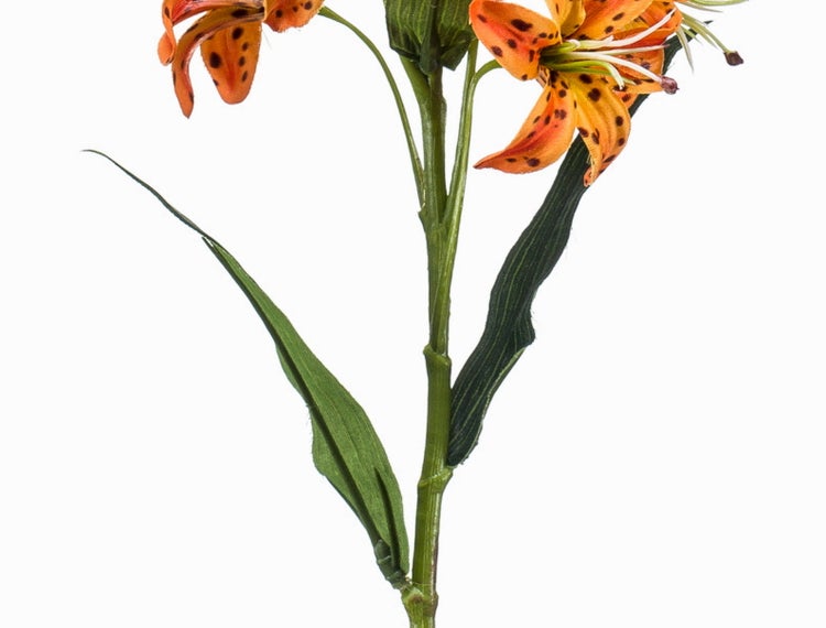 Künstliche Tigerlilie mit orangefarbenen Blüten und dunklen Punkten, langer Stiel mit grünen Blättern.