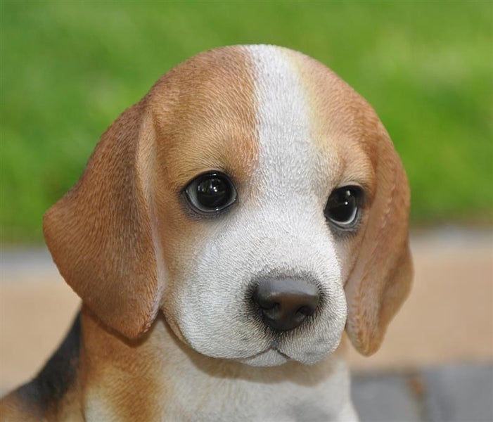 Dekofigur Gartenfigur Beagle Welpe