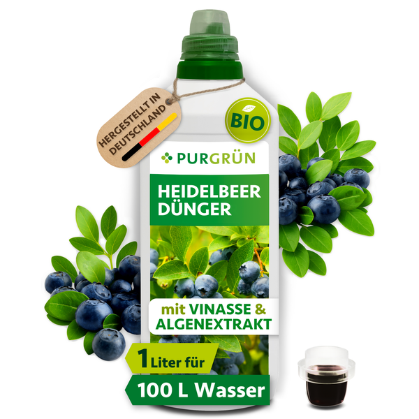 Purgrün Heidelbeer Dünger 1 Liter mit Vinasse und Algenextrakt für Beerenpflanzen hergestellt in Deutschland