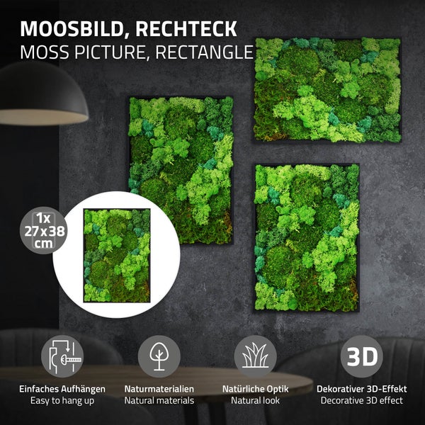 Rechteckiges Moosbild mit Wandmontage, 27 mal 38 Zentimeter, für dekorative Wandgestaltung mit natürlicher Optik und dreidimensionalem Effekt.