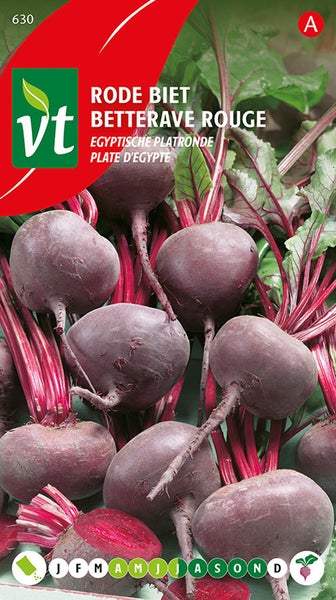 Rote Bete, ägyptische, runde Sorte