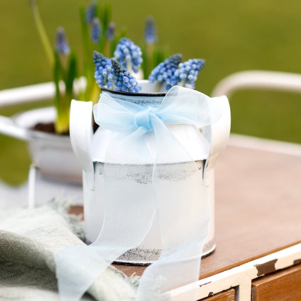 Dekorative weiße Milchkanne mit blauen Traubenhyazinthen und Schleife als Tischdekoration