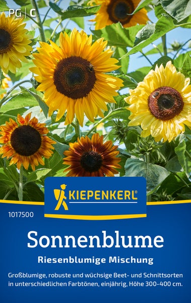 Saatgut Sonnenblume Riesenblumige Mischung von Kiepenkerl zur Aussaat für große Beet und Schnittblumen