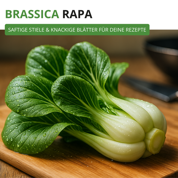 Frischer Pak Choi, Brassica rapa, mit saftigen Stielen und knackigen Blättern auf einem Holzschneidebrett.