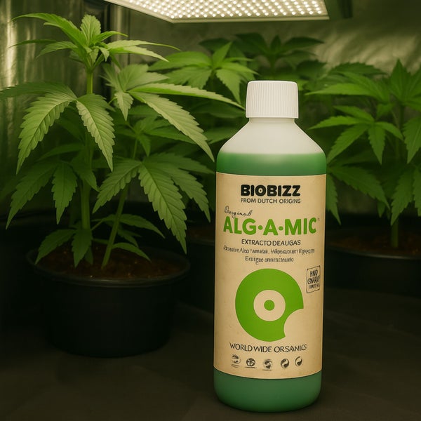 BioBizz Alg-A-Mic 5 Liter  – Organischer Seetang-Dünger zur Stärkung & Regeneration