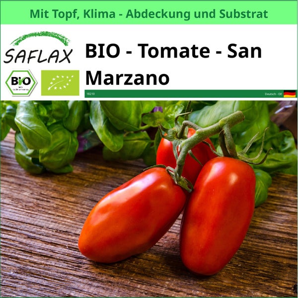 Saflax Bio San Marzano Tomatenpflanze mit Topf, Klimaabdeckung und Substrat