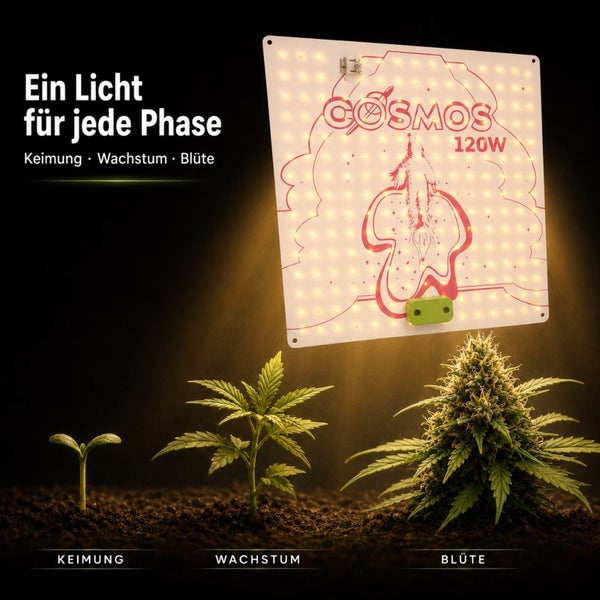 Vanguard Hydroponics Cosmos 120 Watt LED-Pflanzenlampe beleuchtet Pflanzen in den Phasen Keimung, Wachstum und Blüte.