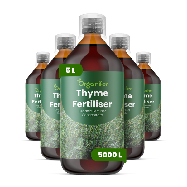 Fünf Flaschen Organifer Thymian-Dünger, organisches Düngerkonzentrat, 5 Liter Gesamtinhalt für 5000 Liter Düngerlösung.