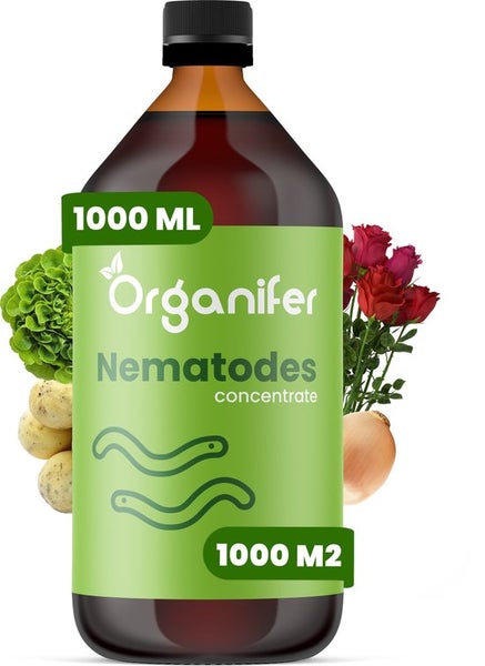 Nematoden - Fadenwürmer-Konzentrat - 1000 ml für 1000 m2 - Organifer