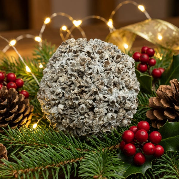 Dekorative Weihnachtskugel aus Muschelschalen auf Tannenreisig mit Tannenzapfen, roten Beeren und Lichterkette für die festliche Tischdekoration.