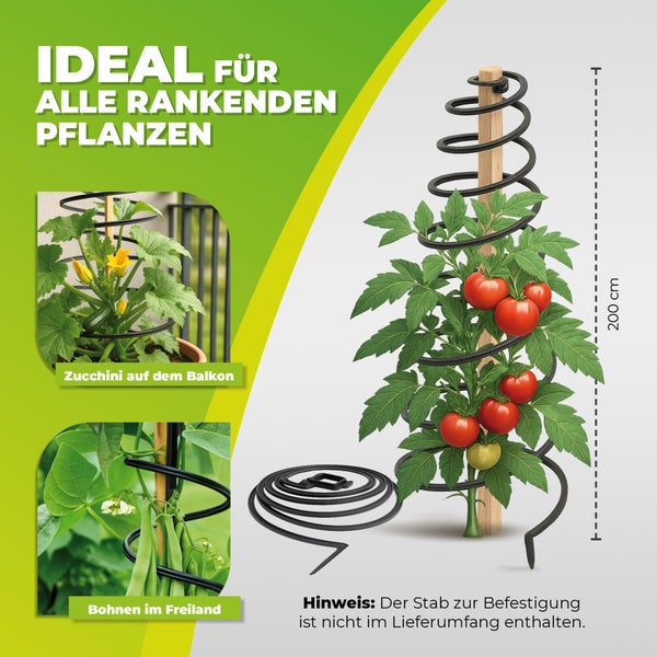 Schwarze Spiral-Rankhilfe für Kletterpflanzen wie Tomaten, Zucchini und Bohnen, Höhe 200 Zentimeter, ohne Befestigungsstab.
